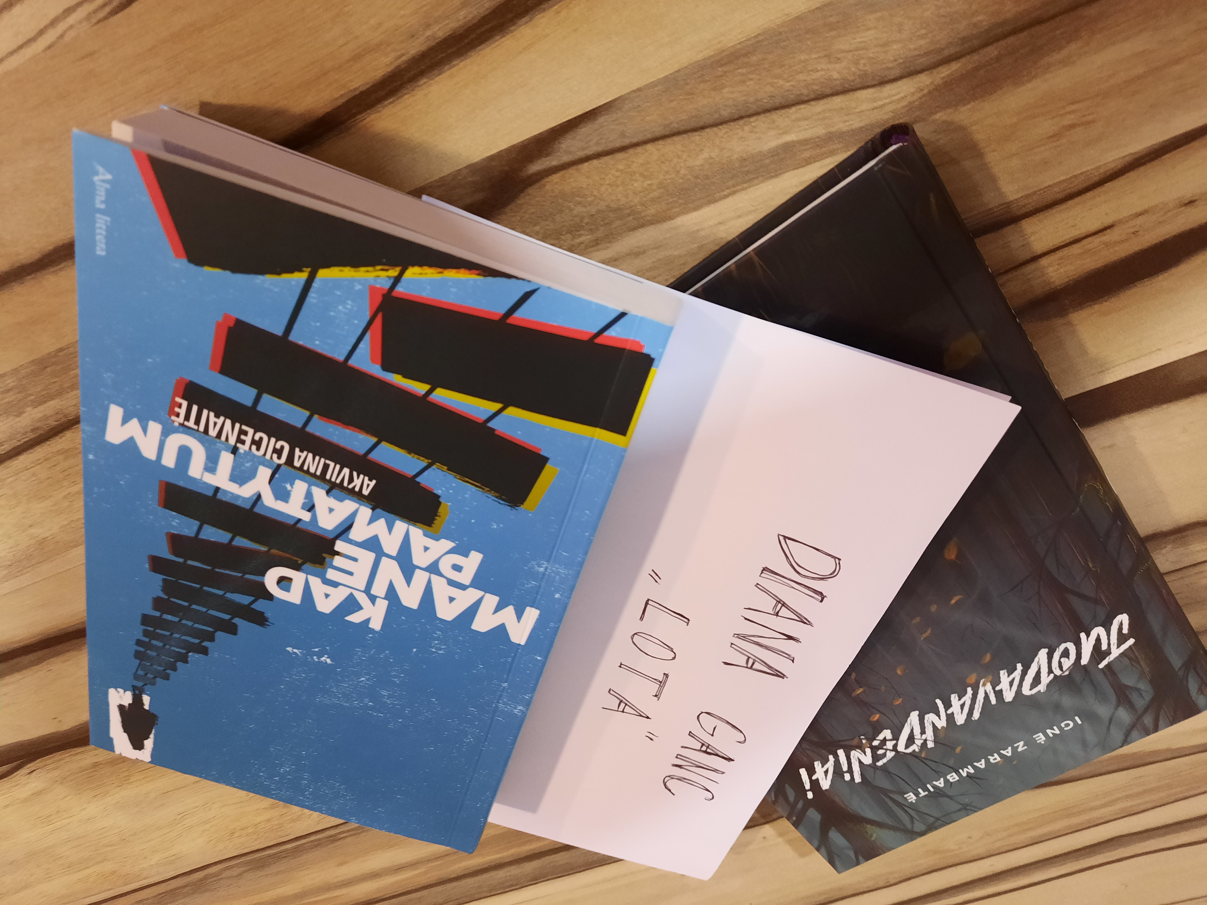 Integruota lietuvių kalbos pamoka