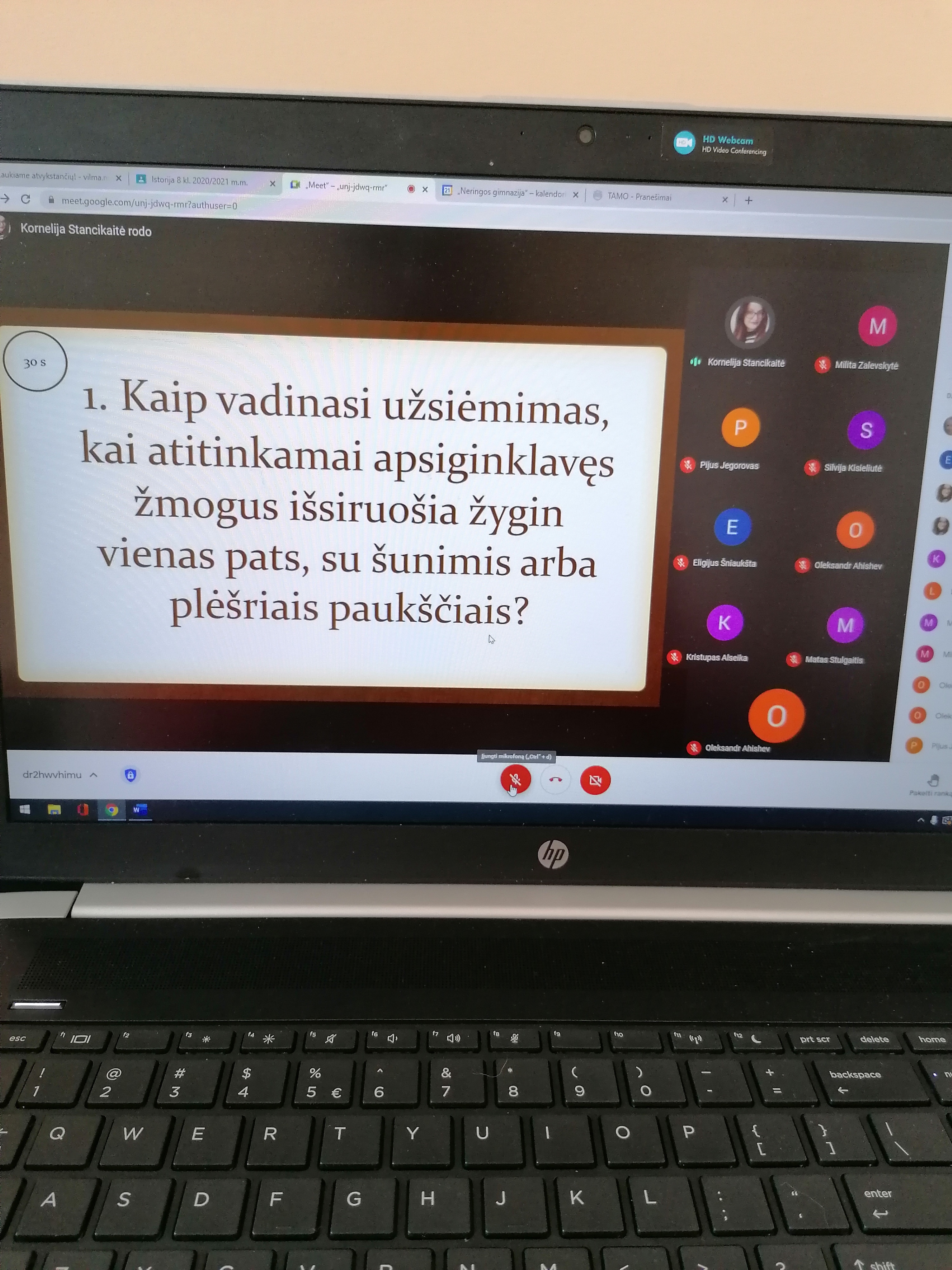 „Viduramžių pramogos ir linksmybės“.