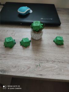 Projektas skirtas Žemės dienai paminėti