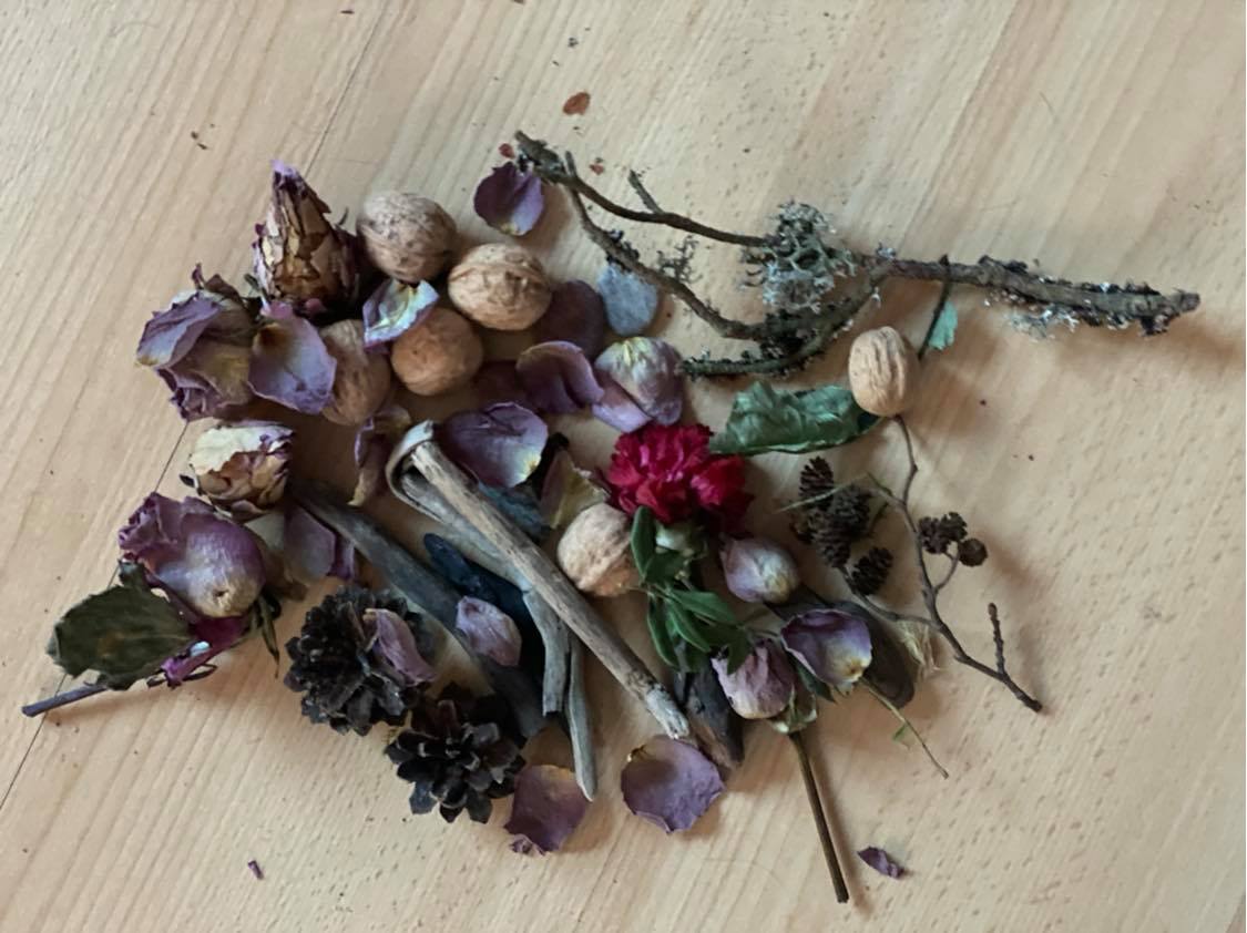 Projektas skirtas Žemės dienai paminėti