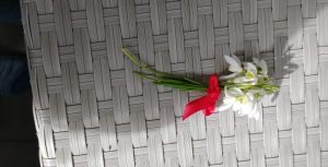 Projektas skirtas Žemės dienai paminėti