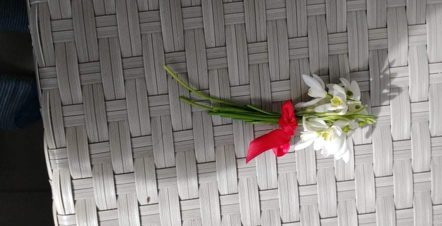 Projektas skirtas Žemės dienai paminėti