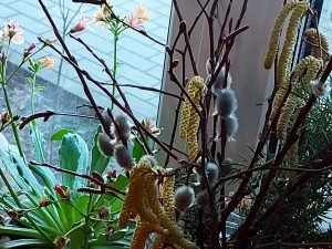 Projektas skirtas Žemės dienai paminėti