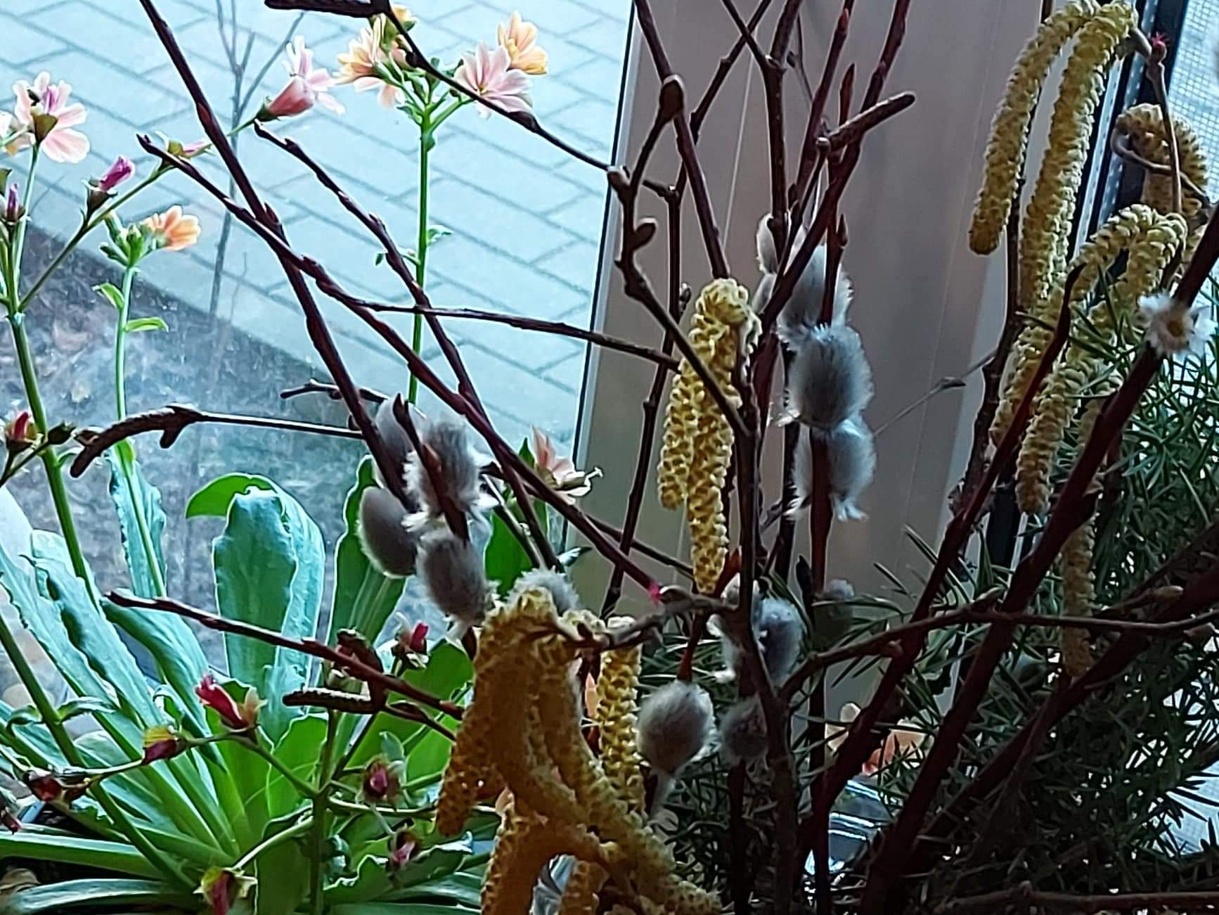 Projektas skirtas Žemės dienai paminėti