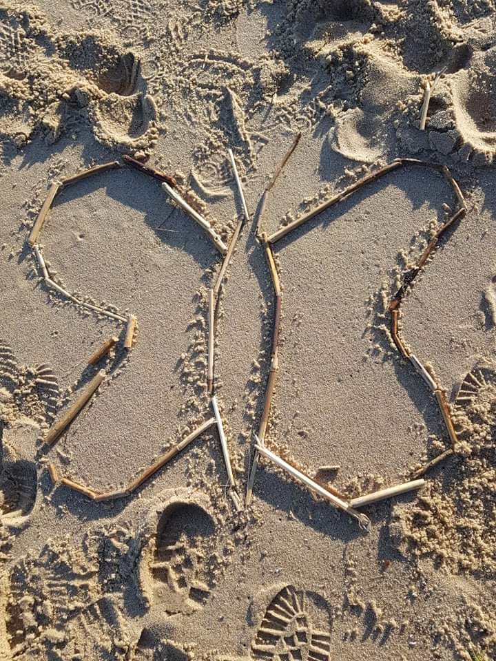 Projektas skirtas Žemės dienai paminėti