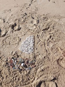 Projektas skirtas Žemės dienai paminėti