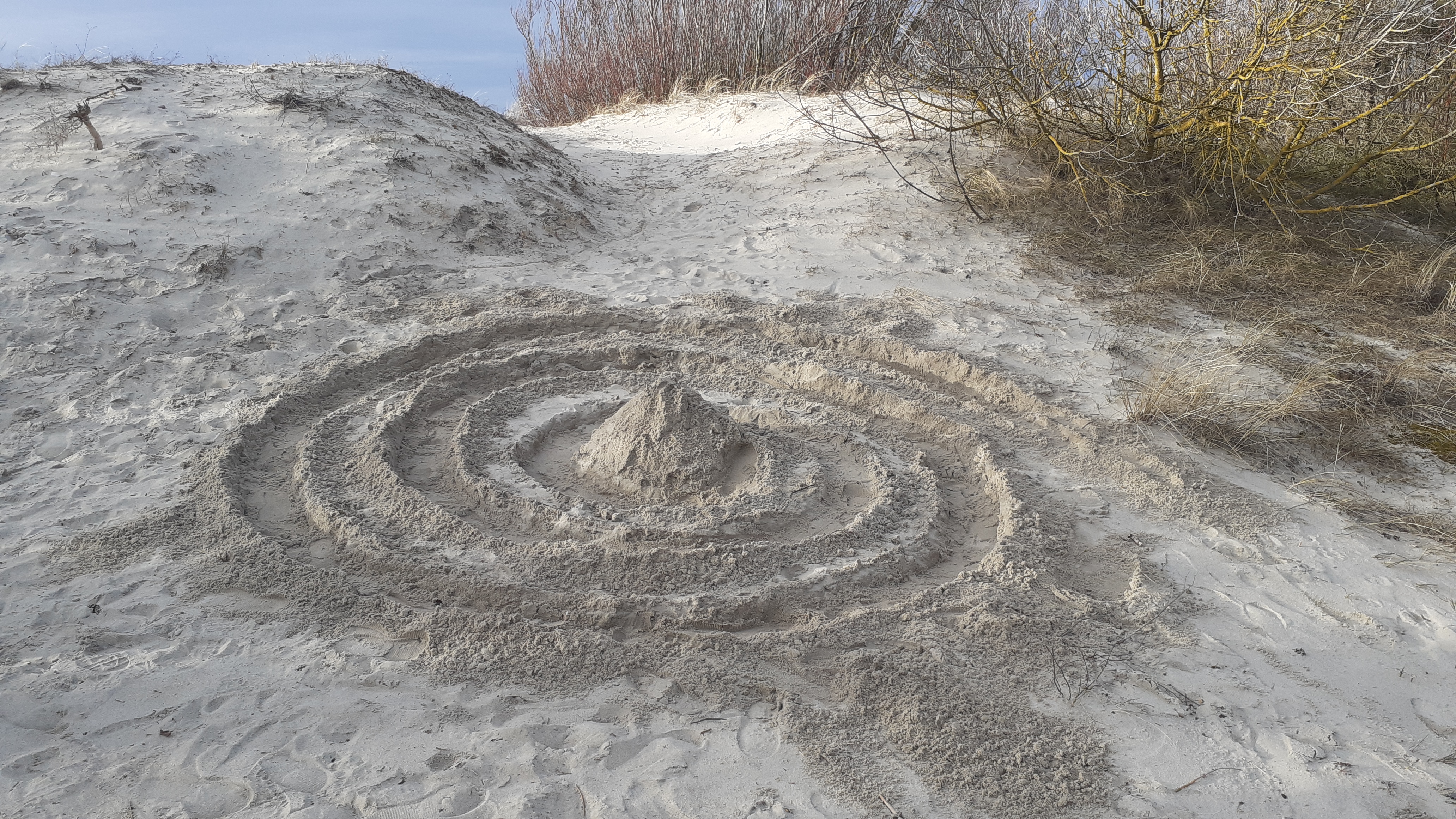 Projektas skirtas Žemės dienai paminėti