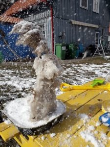 Projektas skirtas Žemės dienai paminėti