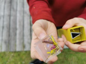 Kaleidoskopų dirbtuvėlės