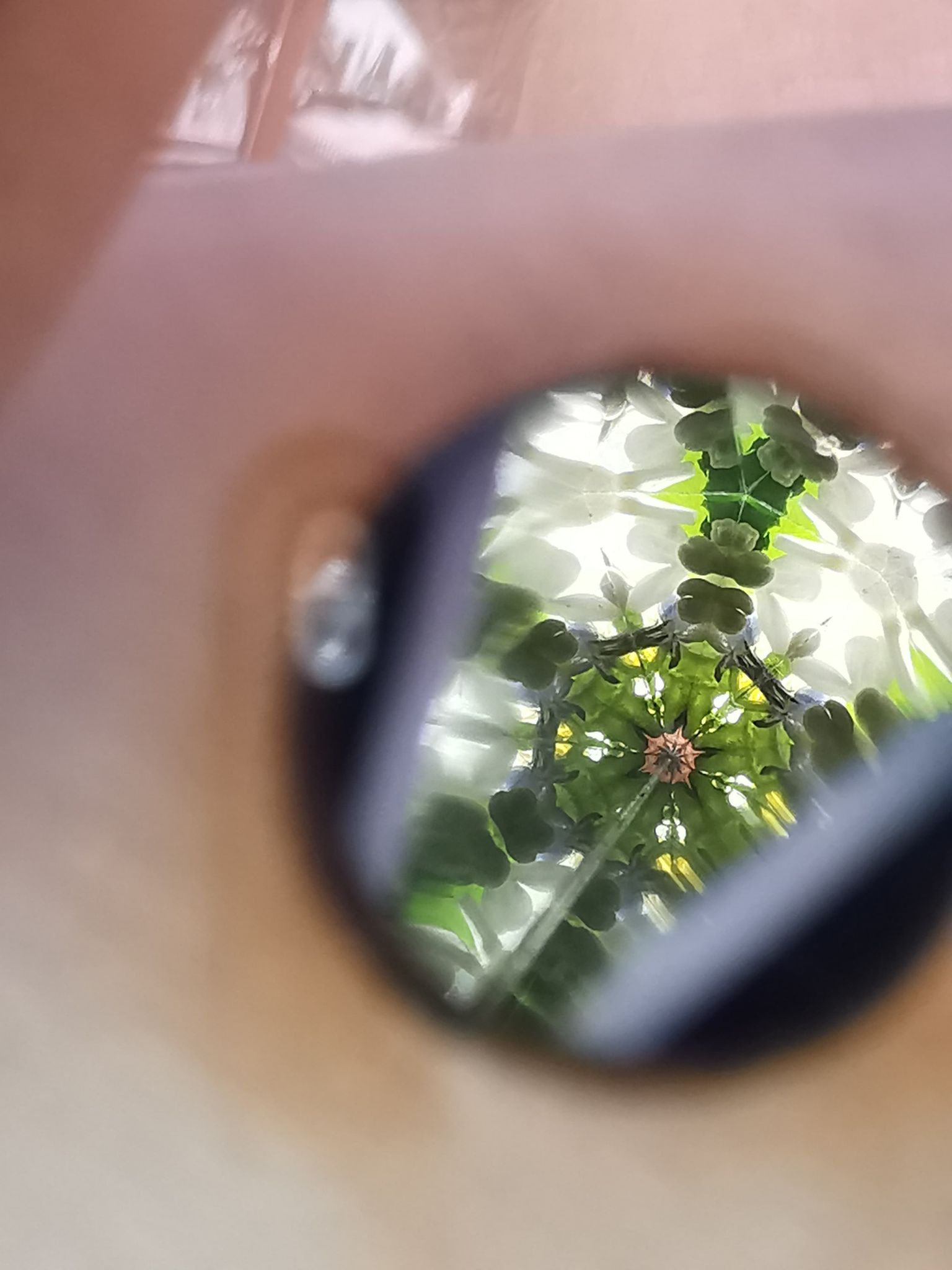 Kaleidoskopų dirbtuvėlės