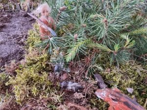 received_198061675552555