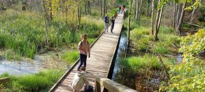 Kelionė į ,,Energetinių labirintų ir Geometrinių figūrų parką‘‘