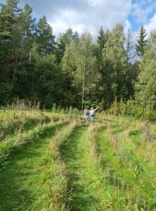 Kelionė į ,,Energetinių labirintų ir Geometrinių figūrų parką‘‘