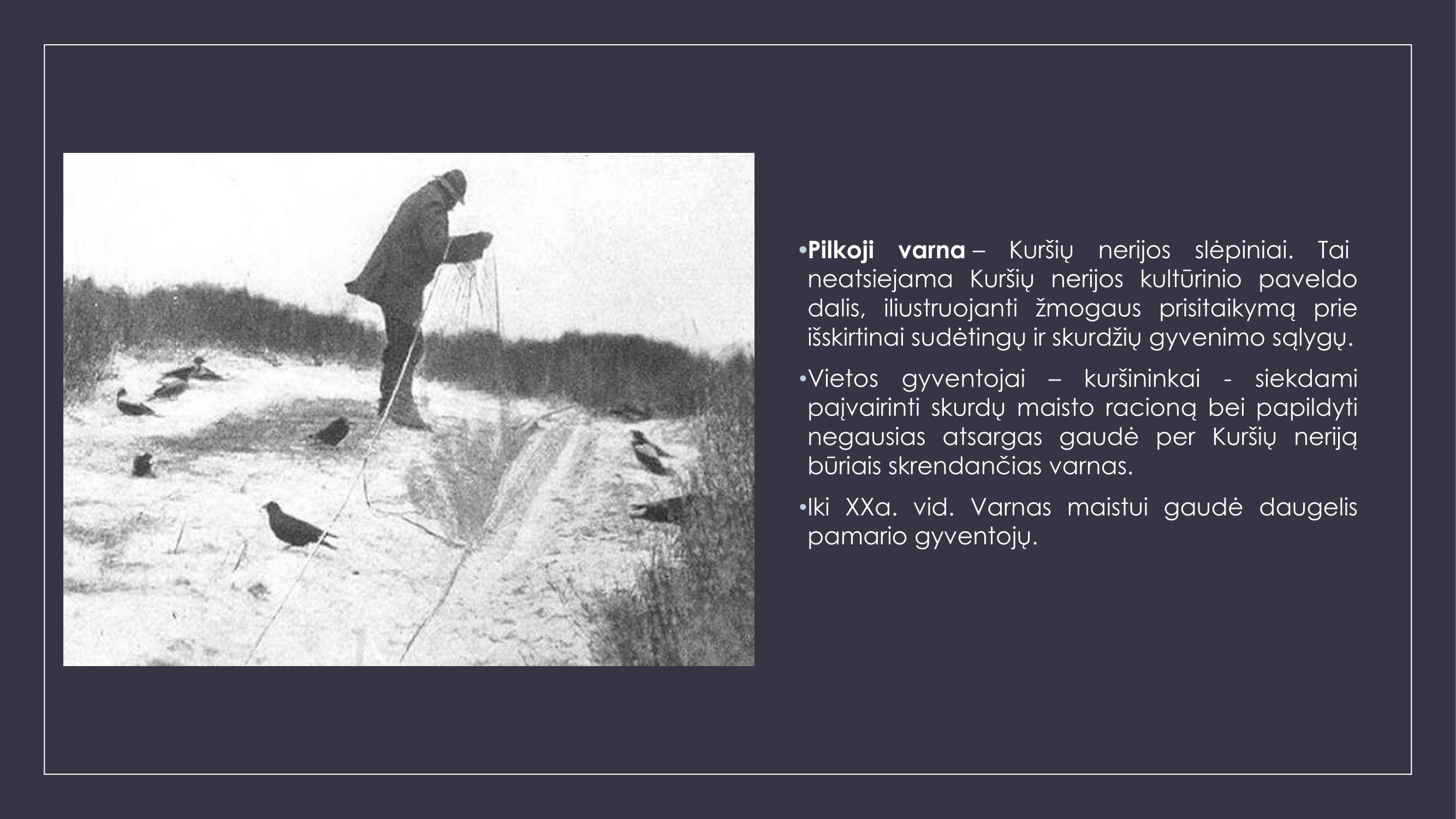 Varnų gaudytojai