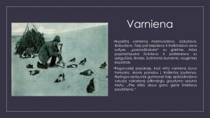 Varnų gaudytojai