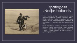 Varnų gaudytojai