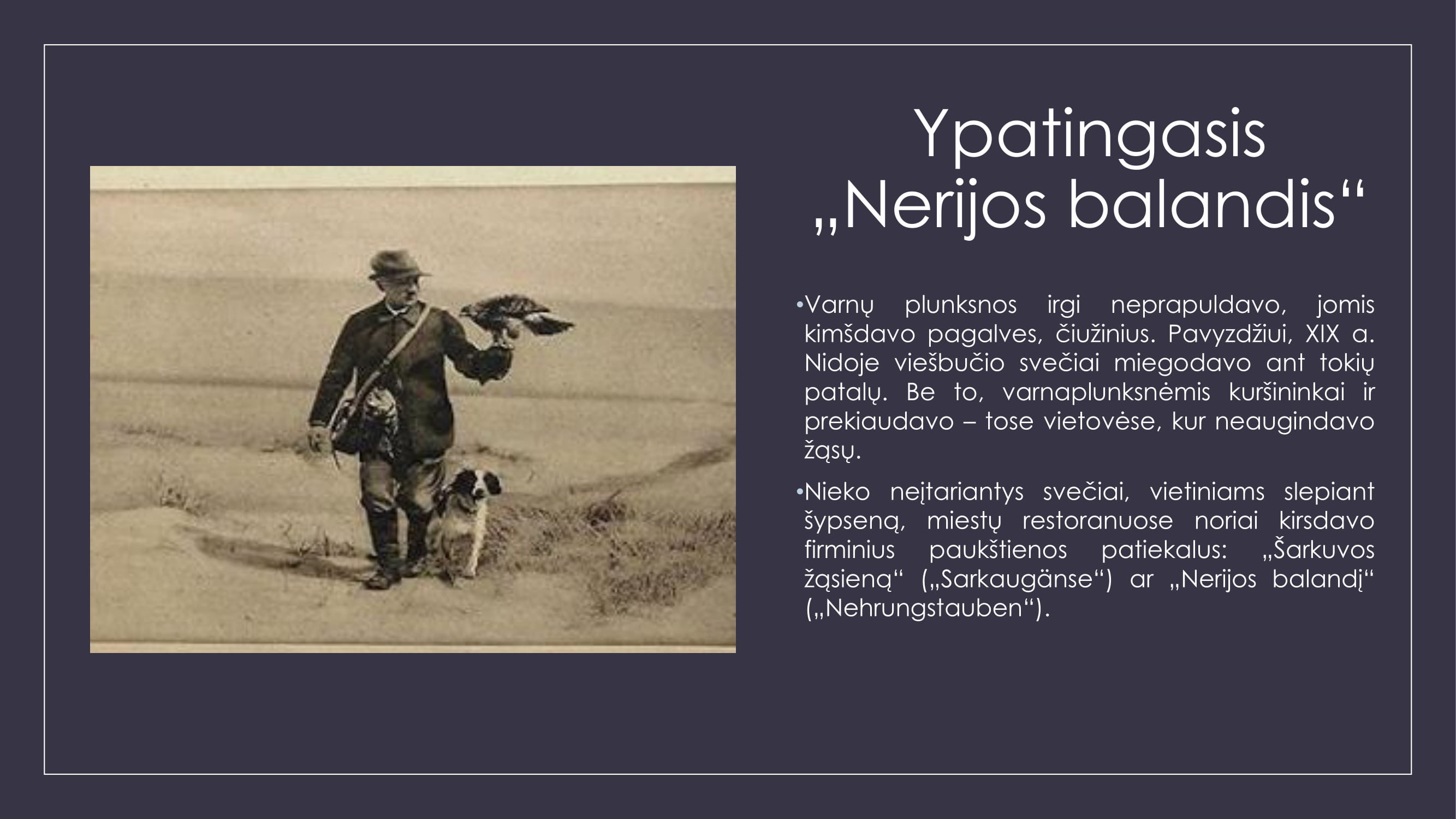 Varnų gaudytojai