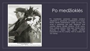 Varnų gaudytojai