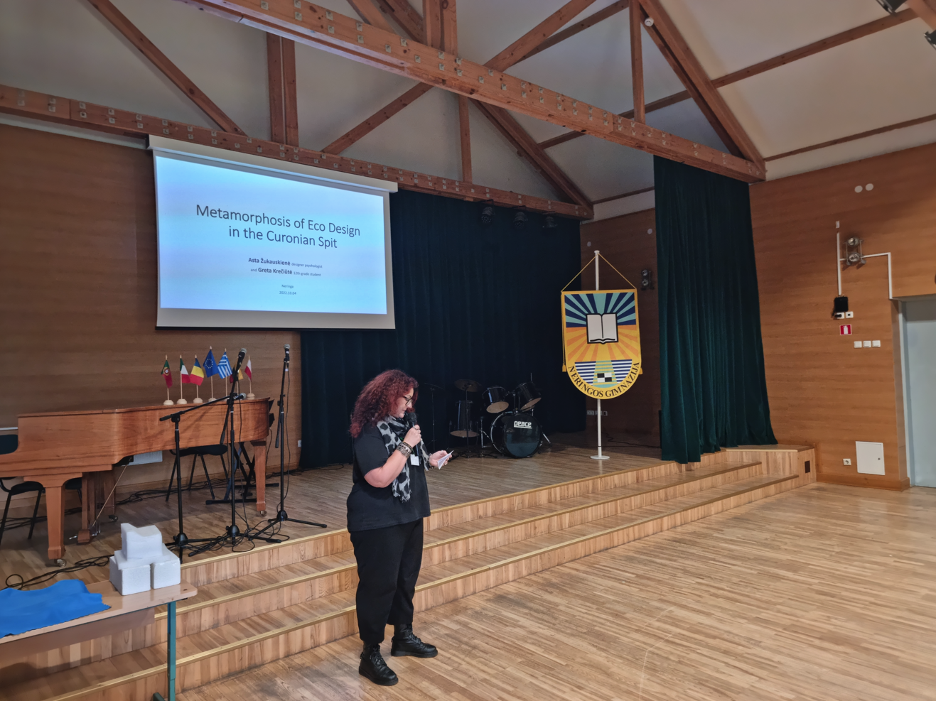 Neringos gimnazija – tarptautinių patirčių sūkuryje